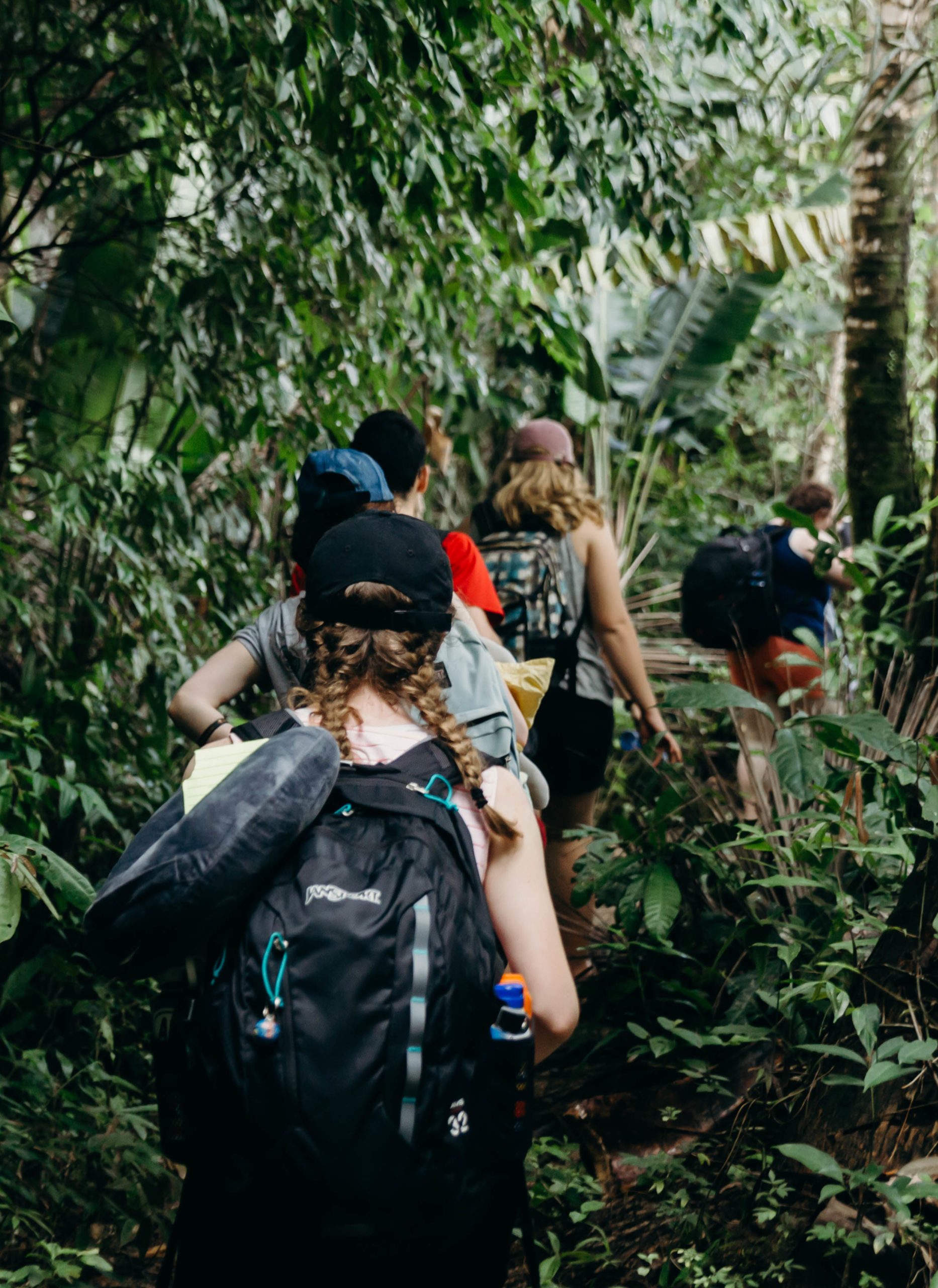 Young adults walking through the jungle wearing backpacks.